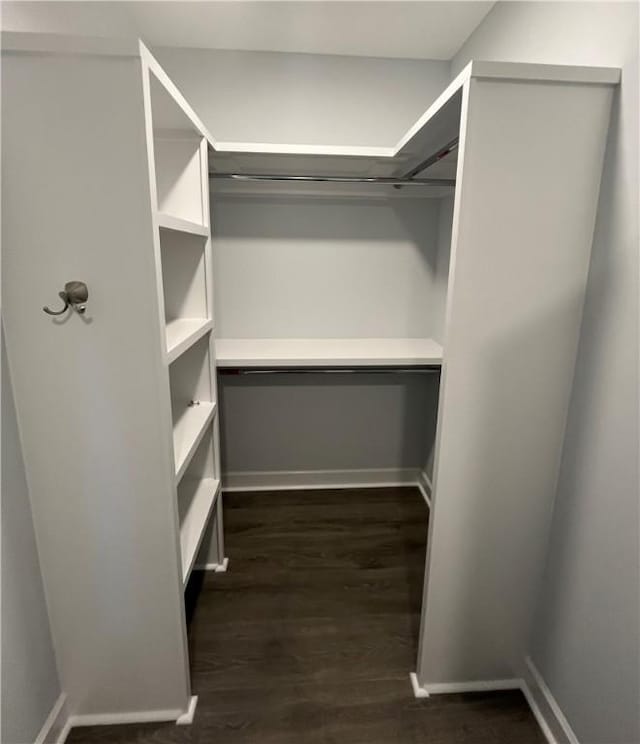 walk in closet with dark hardwood / wood-style flooring