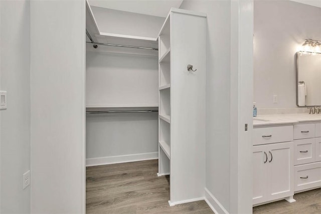 spacious closet featuring light wood-style flooring