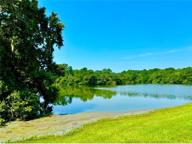 LOT4 Mission Dr SE, Darien, GA 31305 - photo 6
