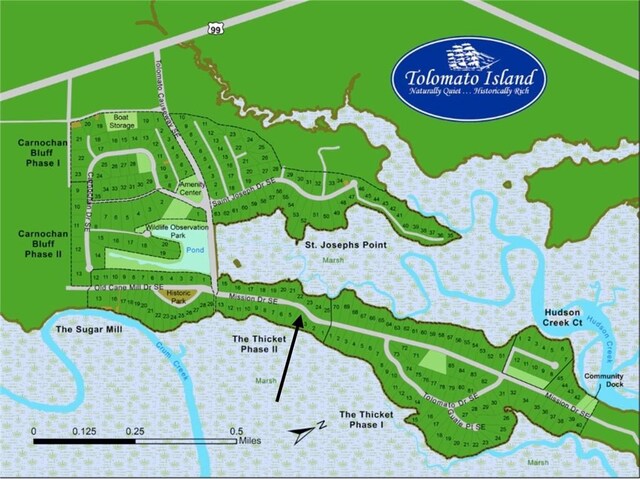 LOT4 Mission Dr SE, Darien, GA 31305 - photo 4