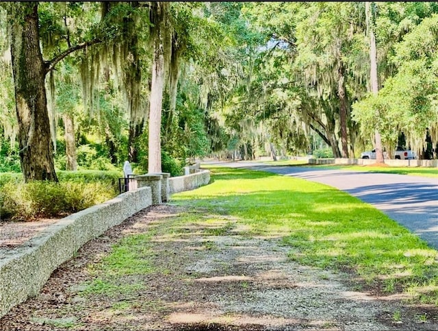 LOT4 Mission Dr SE, Darien, GA 31305 - photo 20
