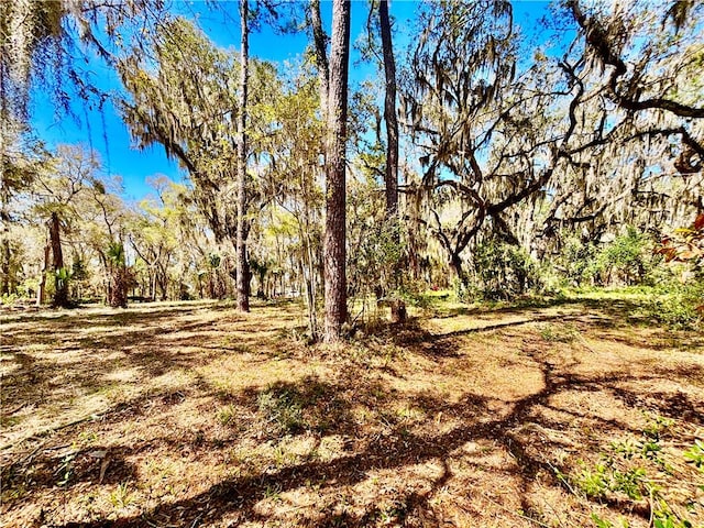 LOT4 Mission Dr SE, Darien, GA 31305 - photo 2