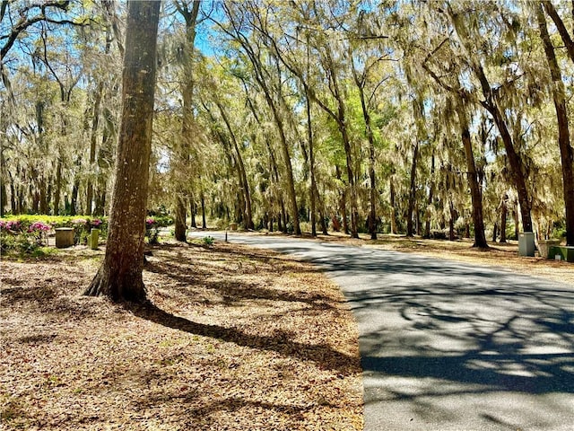 LOT4 Mission Dr SE, Darien, GA 31305 - photo 3