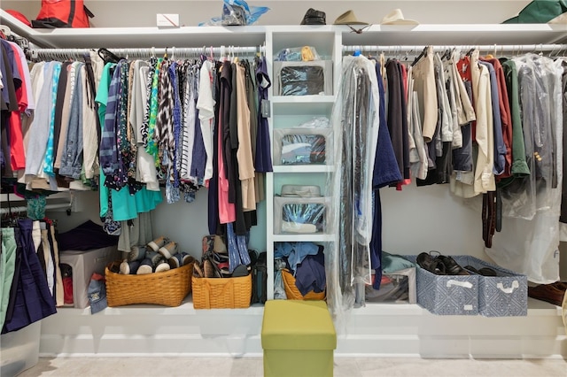 view of spacious closet