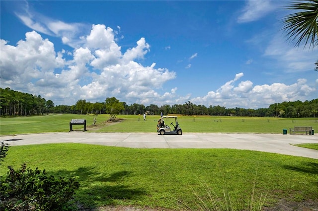 373 Harbour Island Cir, Waverly, GA 31565 - surrounding community featuring a yard and view of wooded area