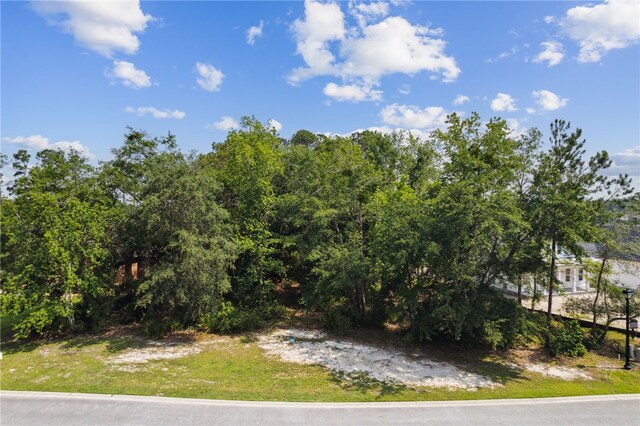 0 Isles Of St Marys Way, Saint Marys, GA 31558