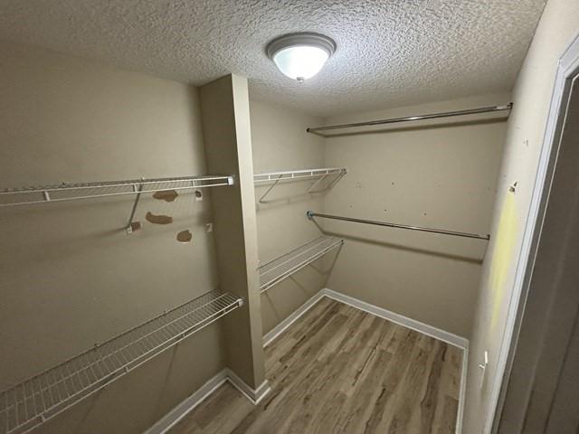 spacious closet with hardwood / wood-style floors