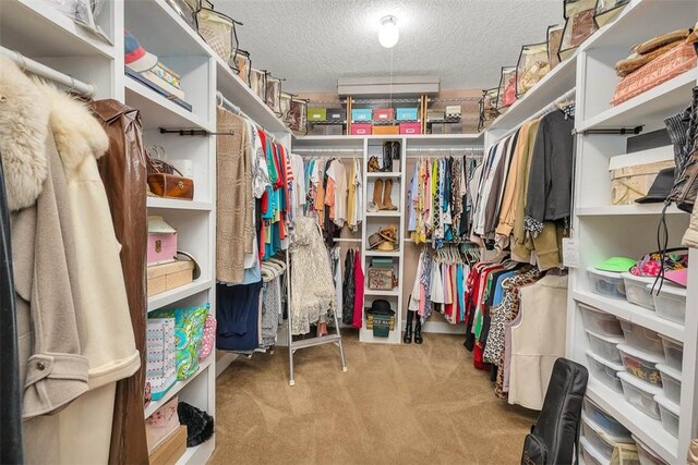 spacious closet with light carpet