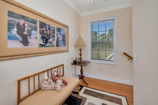 living area featuring wood-type flooring and ornamental molding