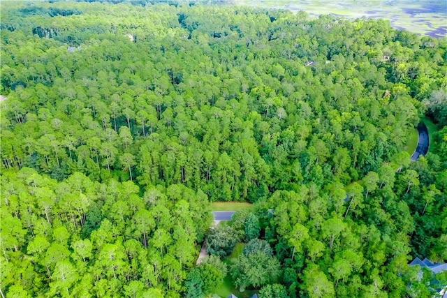 00 Lighthouse Cir, Woodbine, GA 31569 - photo 8
