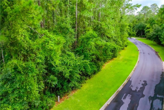 00 Lighthouse Cir, Woodbine, GA 31569 - photo 24