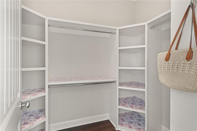 1040 Sinclair Pointe, Saint Simons Island, GA 31522 - spacious closet with dark wood-style flooring