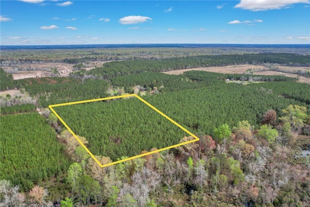 0 Oquinn Loop, Odum GA, 31555 land for sale