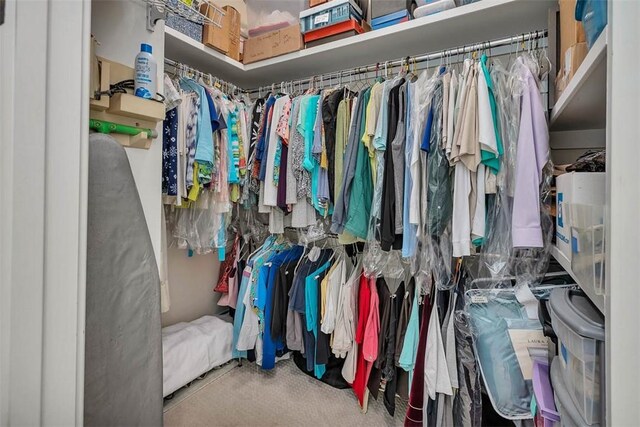 3100 Prince Ln, Saint Simons Island, GA 31522 - walk in closet featuring carpet