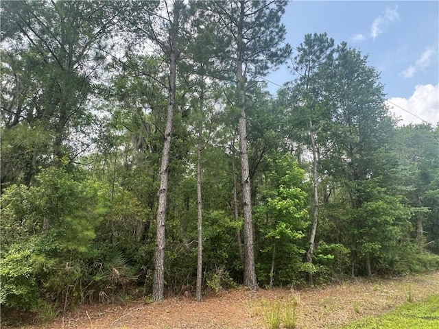 0 Manchester Rd, Townsend, GA 31331