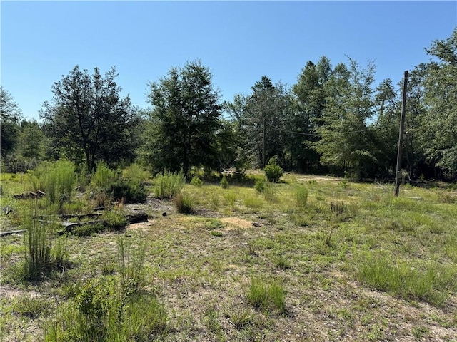 503 Old Mchaus Rd, Private Road, GA 31554 - photo 10