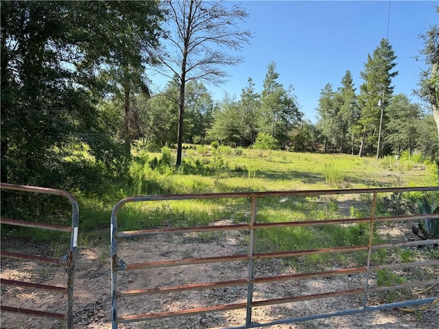 503 Old Mchaus Rd, Private Road, GA 31554 - photo 1