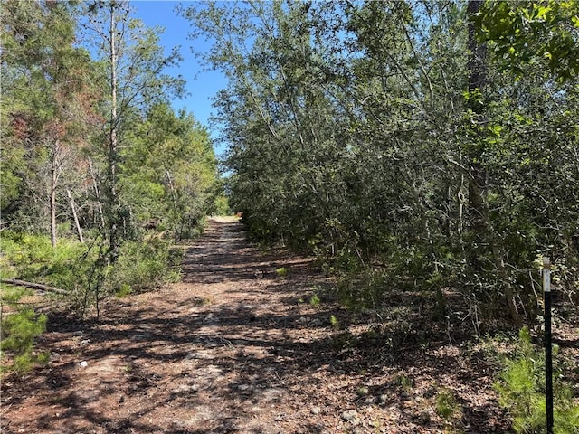 503 Old Mchaus Rd, Private Road, GA 31554 - photo 3