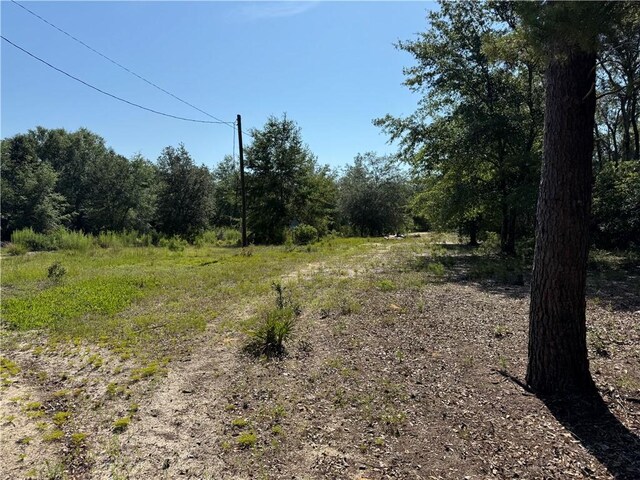 503 Old Mchaus Rd, Private Road, GA 31554 - photo 8