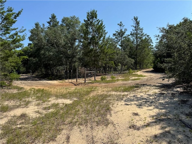 503 Old Mchaus Rd, Private Road, GA 31554 - photo 2
