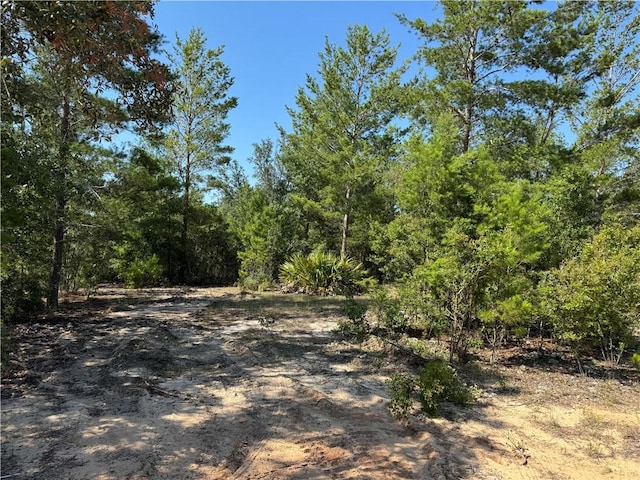 503 Old Mchaus Rd, Private Road, GA 31554 - photo 7