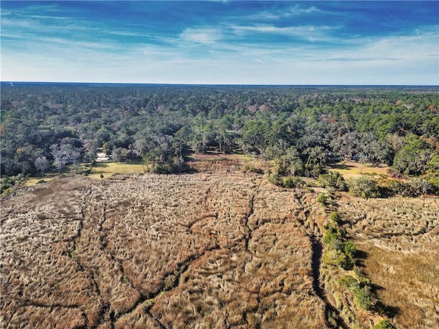 15105 Ga Highway 99, Darien, GA 31305