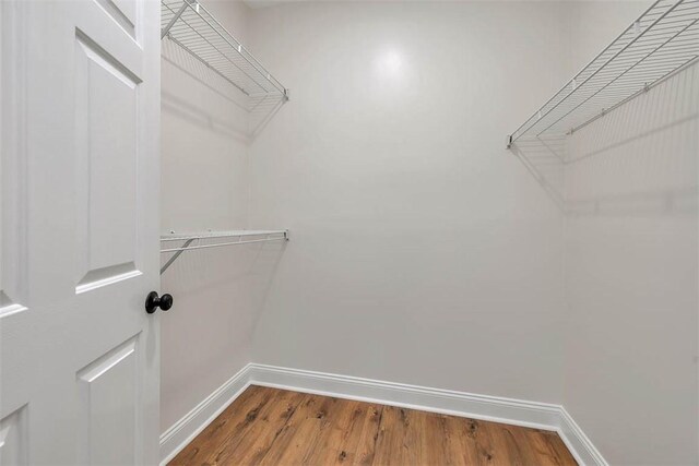 spacious closet featuring wood finished floors