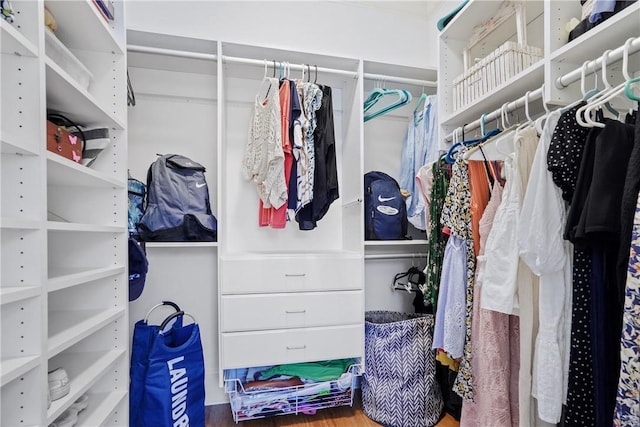 spacious closet featuring wood-type flooring