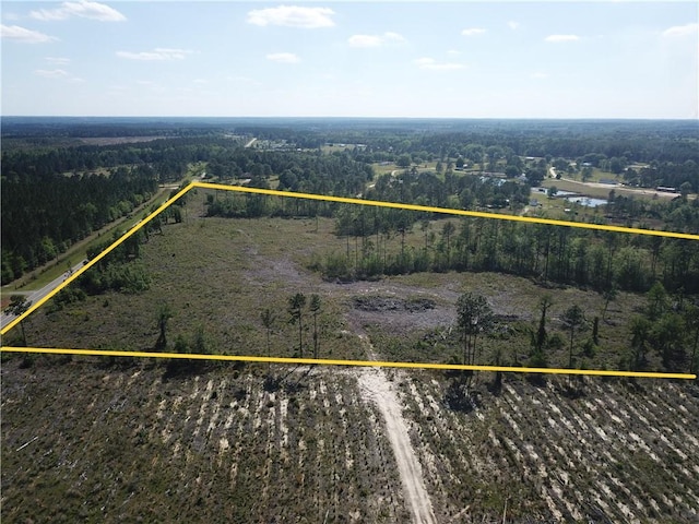 0 Old Normantown Rd, Vidalia, GA 30474 - photo 11