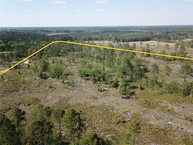 0 Old Normantown Rd, Vidalia, GA 30474 - photo 3