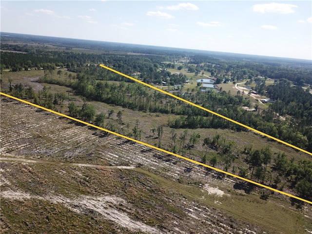 0 Old Normantown Rd, Vidalia, GA 30474 - photo 4