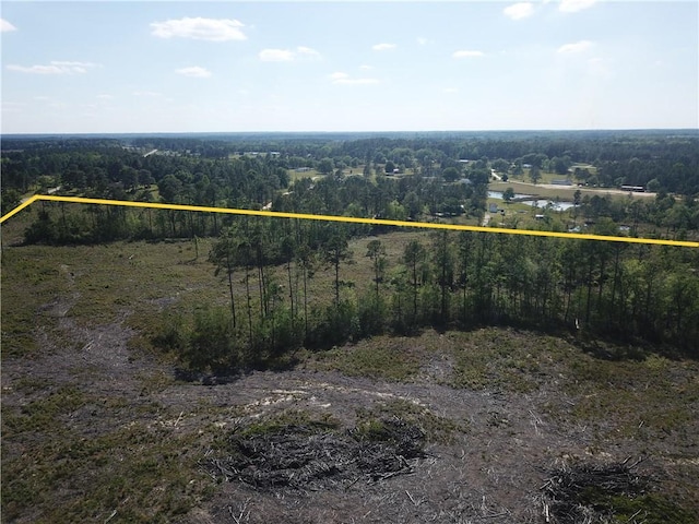 0 Old Normantown Rd, Vidalia, GA 30474 - photo 10
