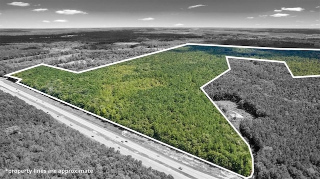 262.44AC Leroy Coffer Hwy, GA, 31309 land for sale