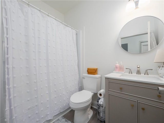 1007 Elbert Ext, Darien, GA 31305 - full bath with vanity, wood finished floors, and a shower with curtain