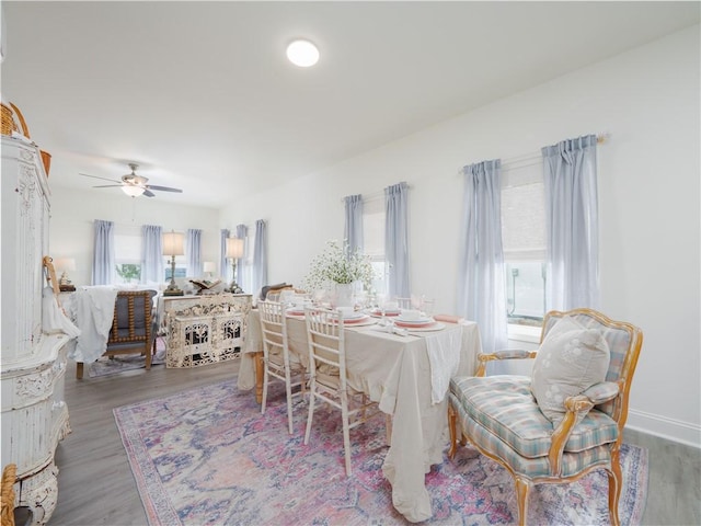 1007 Elbert Ext, Darien, GA 31305 - dining area with wood finished floors and ceiling fan