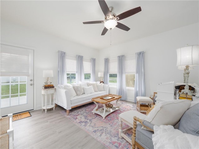 1007 Elbert Ext, Darien, GA 31305 - living area with light wood-style floors and ceiling fan