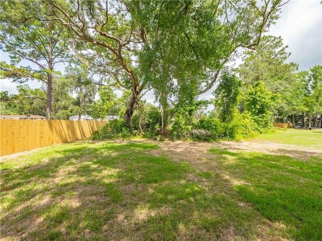 1007 Elbert Ext, Darien, GA 31305 - view of yard