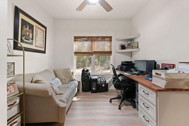 office area featuring light wood-type flooring and a ceiling fan