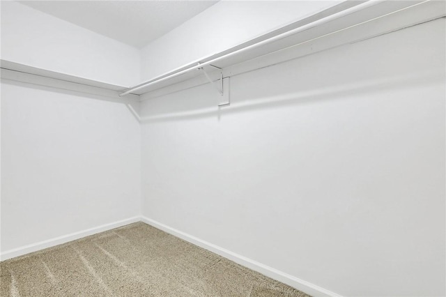 walk in closet featuring carpet