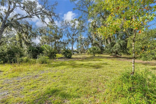 LT3 River Plantation Pl NE, Townsend, GA 31331 - photo 6