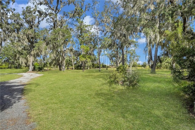 LT3 River Plantation Pl NE, Townsend, GA 31331 - photo 2