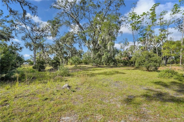 LT3 River Plantation Pl NE, Townsend, GA 31331 - photo 5