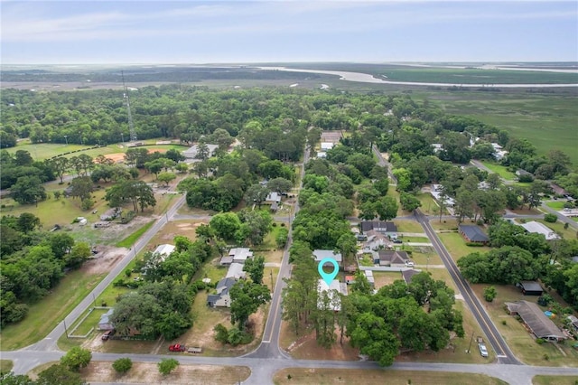 703 Wayne St, Darien, GA 31305 - view of property location