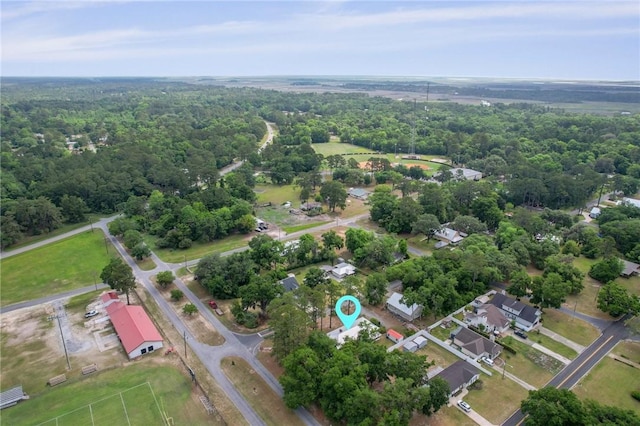 703 Wayne St, Darien, GA 31305 - aerial view of property and surrounding area with a heavily wooded area