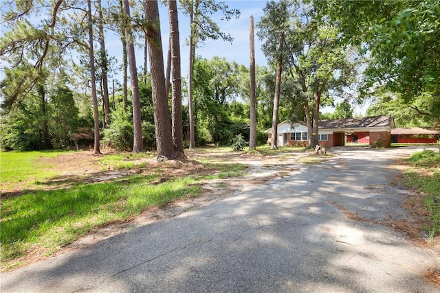 4365 US Highway 341, Jesup, GA 31545 - view of asphalt driveway