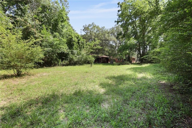 4365 US Highway 341, Jesup, GA 31545 - view of yard