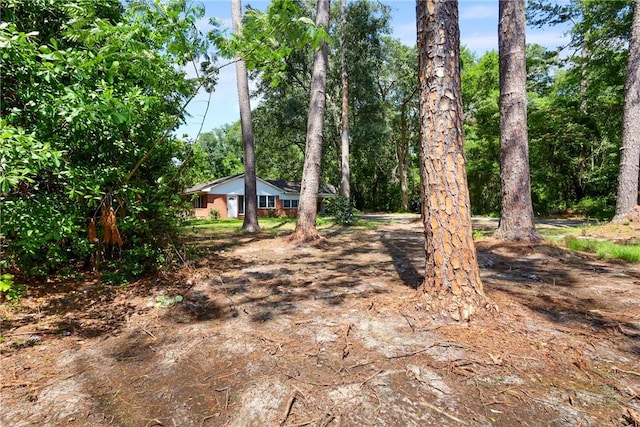 4365 US Highway 341, Jesup, GA 31545 - view of yard
