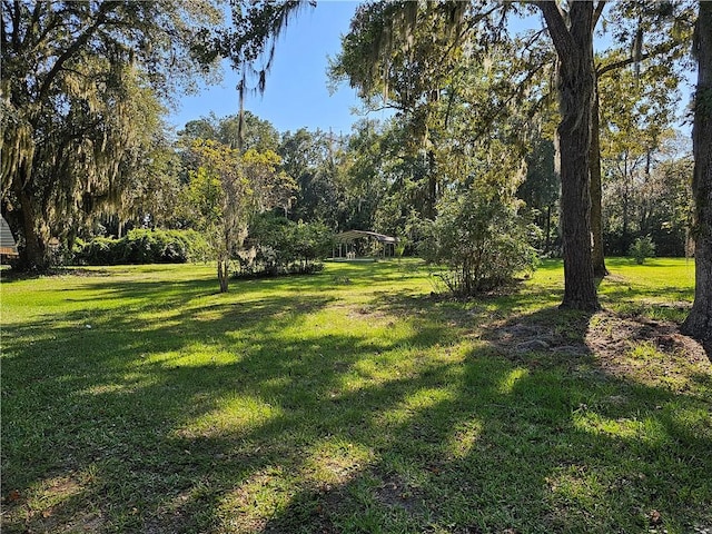 146 Don El St, Brunswick, GA 31523 - view of green lawn