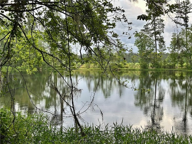 5577 Strickland Rd, Waycross, GA 31503 - water view featuring a heavily wooded area