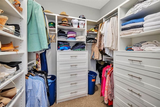 spacious closet featuring light carpet